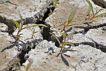триллион бюджетных средств испарился: чиновники в казахстане не справились со строительством водных объектов