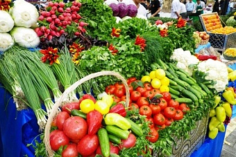 узбекские агропромышленные компании  намерены активизировать торговое сотрудничество с россией