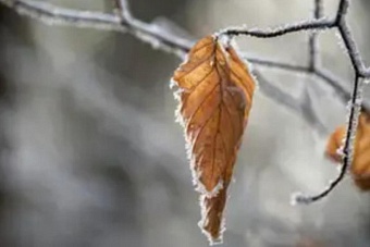 снегопады, гололедица и дожди обрушатся на казахстан: погода в понедельник, 14 октября 2024