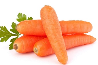 на экспорте моркови узбекистан заработал $4,1 млн 