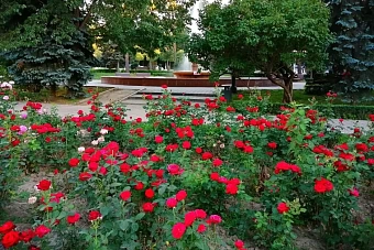 прогноз погоды в казахстане, узбекистане и кыргызстане на предстоящую неделю, 10-16 июня 2024