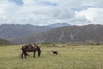дожди и прохлада придут в некоторые территории казахстана: погода в четверг, 11 июля 2024