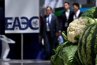 производство сельхозпродукции в еаэс выросло на 1,8%