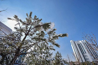 какой будет погода в центральной азии в среду, 11 декабря 2024