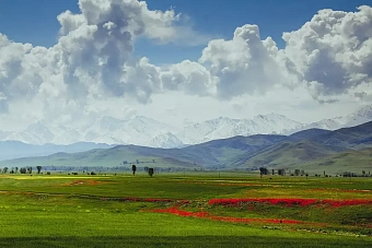 в узбекистане и кыргызстане без осадков: погода в понедельник, 27 мая 2024