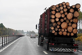 россия дает добро: для вывоза леса в казахстан открыли еще три пункта пропуска