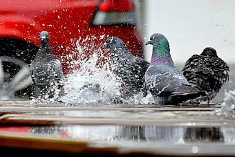 дожди и бабье лето в казахстане: погода на предстоящую неделю, с 9 по 13 сентября 2024