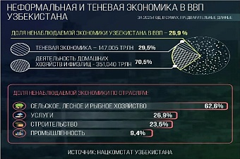 доля ненаблюдаемого сектора в экономике узбекистана достигла 26,8% ввп 