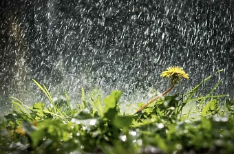 сильный ветер и дожди в казахстане: погода в пятницу, 27 сентября 2024