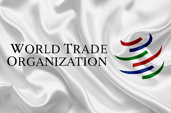 в туркменистане обсудили сотрудничество с вто