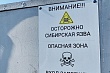 вспышка сибирской язвы в казахстане: в одной из областей ввели карантин