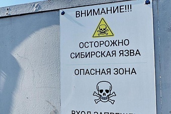 вспышка сибирской язвы в казахстане: в одной из областей ввели карантин