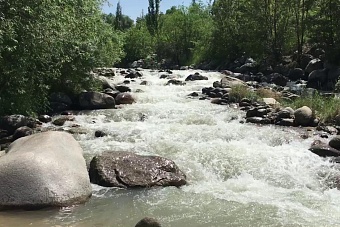 тело новорожденного ребенка обнаружили на окраине алматы 