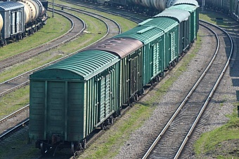 Рассказываем о том, что нельзя вывозить из Казахстана в Россию и другие страны в 2023 году (список, основание)