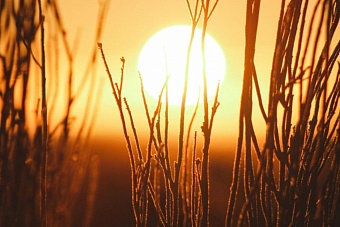 геомагнитный штиль или буря: прогноз магнитных бурь в центральной азии на майские праздники