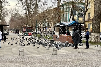 тепло уже на подходе: какая погода ожидается в центральной азии на предстоящей неделе, с 3 по 9 февраля 2025