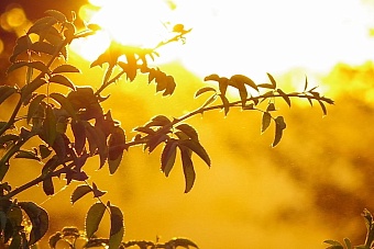 похолодание идет в казахстан: погода в четверг, 22 августа 2024