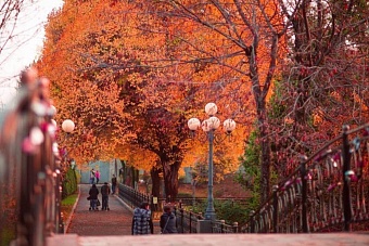 погода, в странах центральной азии, 28 ноября 2023 года: в алма-ате +16, в душанбе +20