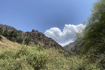 жарко и без осадков в узбекистане, дожди в горах кыргызстана: погода во вторник, 13 августа 2024