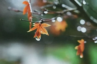 дожди пройдут в узбекистане и кыргызстане: погода на предстоящую неделю, с 28 октября по 2 ноября 2024