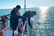 спецслужбы казахстана, рф и азербайджана задержали 53 браконьера