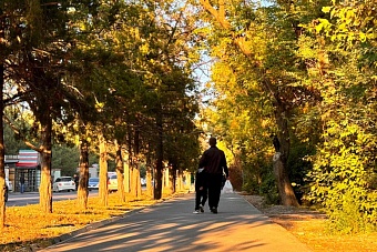 теплые и без осадков выходные ожидаются в кыргызстане: погода в субботу и воскресенье, 19 и 20 октября 2024
