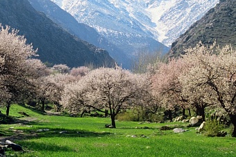 какая погода ожидается в центральной азии в среду, 16 апреля 2025