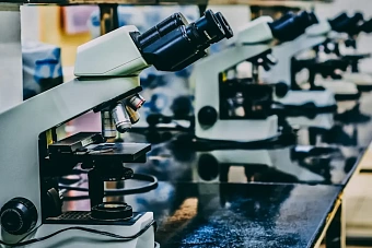 в кыргызстане до конца года появится российская биолаборатория с третьим уровнем защиты