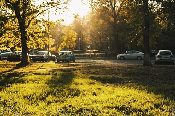 жара до 43 градусов в тени и дожди с грозами: погода в казахстане в четверг, 6 июня 2024