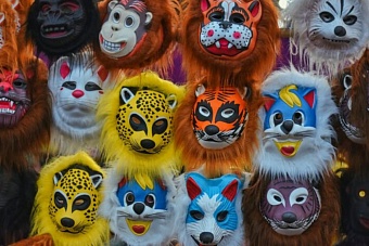 опускаются до уровня животных: духовное управление мусульман казахстана осудило квадроберов