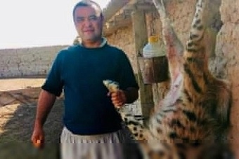 в сурхандарьинской области узбекистана нашли убийцу редкой гиены