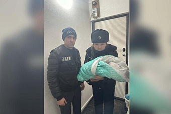 цена ребенка 1,5 млн тенге: в казахстанском таразе продали новорожденную малышку