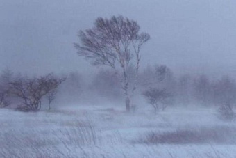 в 16 областях казахстана объявлено штормовое предупреждение 