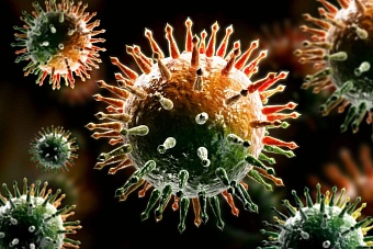 «Запад пришел к технологическому прорыву, в результате которого вирусы и опасные патогены могут уничтожать народы избирательно»