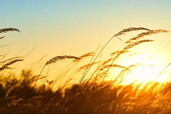 дожди и жара до 40 градусов: погода в казахстане во вторник, 4 июня 2024