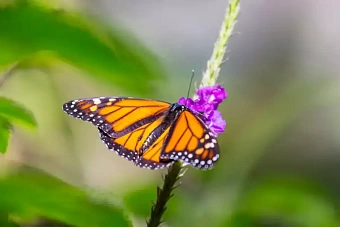погода в казахстане, кыргызстане и узбекистане в субботу и воскресенье, 8 и 9 июня 2024