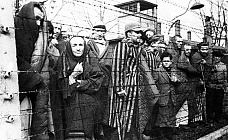 политик из германии призвала берлин признать геноцид советского народа