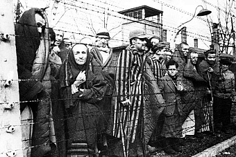 политик из германии призвала берлин признать геноцид советского народа