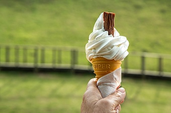в узбекистане и таджикистане появится новосибирское мороженое 