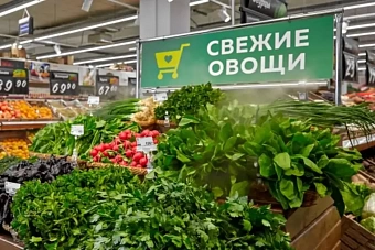 фермеры из узбекистана обеспечат торговую сеть из россии свежими фруктами и овощами