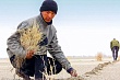 генассамблея оон приняла резолюцию узбекистана  об экологических угрозах центральной азии