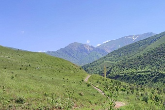 в узбекистане и кыргызстане дожди пройдут лишь местами: погода в пятницу, 23 августа 2024