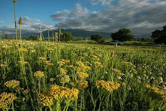 жара до +45 в казахстане, в узбекистане без осадков, в кыргызстане возможны сели: погода в субботу и воскресенье, 3 и 4 августа 2024