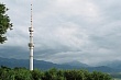 в казахстане не работает телевидение и радио 