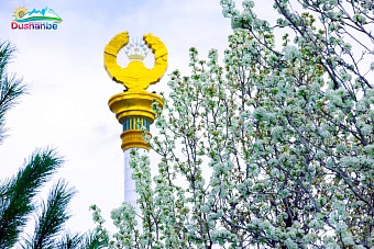 в душанбе 2-6 октября пройдет чемпионат мира по дзюдо среди юниоров