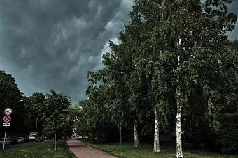 умеренно влажно в казахстане, без осадков в узбекистане, спад жары в кыргызстане: погода на неделю, 12 – 18 августа 2024