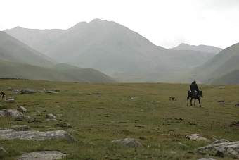 пасмурно в узбекистане, местами дожди в кыргызстане: погода в среду, 14 августа 2024