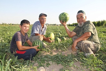 погода, в странах центральной азии, 17 августа 2023 года: в астане +27, в душанбе +36