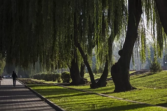 жара без осадков в узбекистане, небольшие осадки в кыргызстане: погода на неделю с 26 августа по 1 сентября 2024