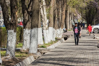 какая погода ожидается в центральной азии в понедельник, 10 марта 2025